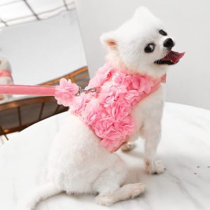 Pechera arnés para perro con flores, chaleco para paseo, Correa para Mascotas y Velcro para Cachorro gato y perro