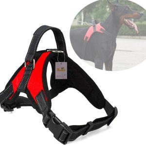 Arnés para perro ergonómico con correa Ajustable-Máxima protección y comodidad para tu mascota