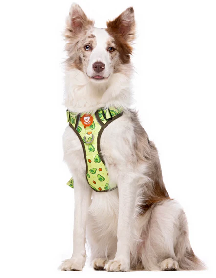 Dukier Avocado Arnés Trail Para Perro