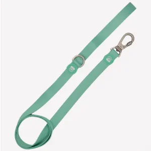 Dukier Mint Correa