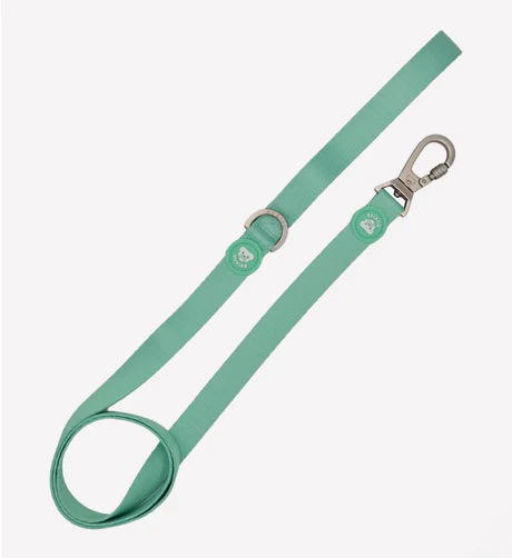 Dukier Mint Correa