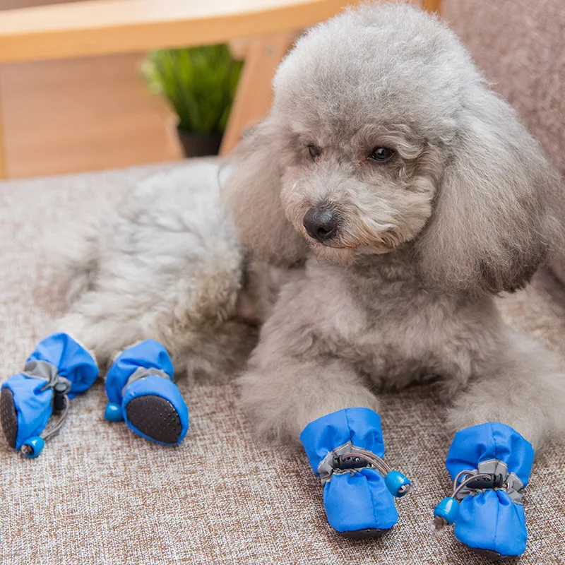 Puntadas de Tela para Cachorros - Paquete de 4 Piezas, Transpirable y Ligero - Imagen 2