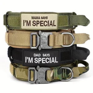 Collar táctico para perros con doble seguridad y ajuste personalizado