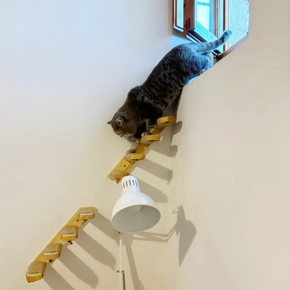Escaleras de pared para gatos y estanterías de escalada en varias alturas - Imagen 7