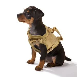 Arnés para perro cachorro ajustable y acolchado con sistema de liberación rápida