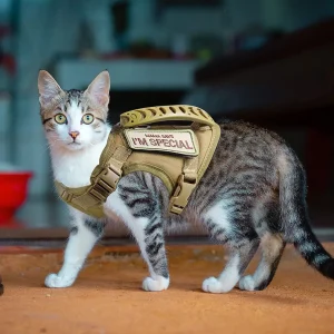 Arnés Ajustable para Gatos PETRAVEL – Confort, Seguridad y Sujeción Total