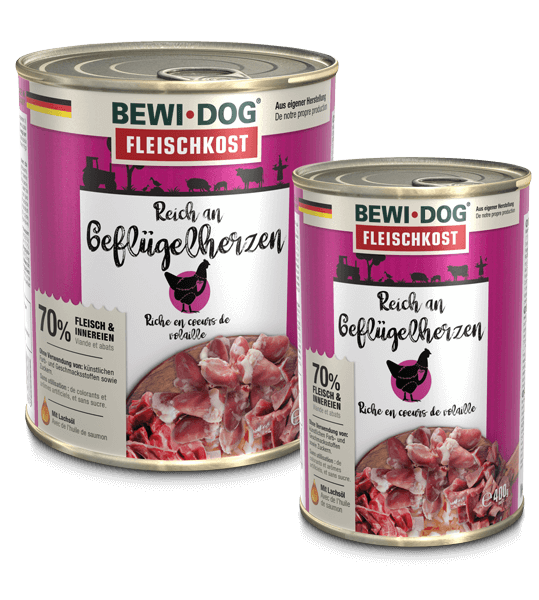 BEWI DOG LATA RICO EN CORAZONES DE AVE