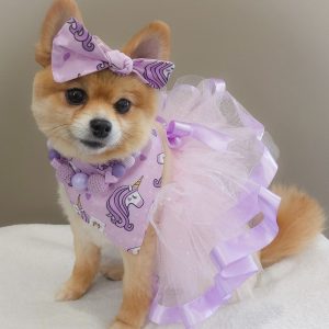 Vestido Wendy para perro y gato, vestido para mascota, vestido ideal para celebración, cumpleaños,bodas y Xv años